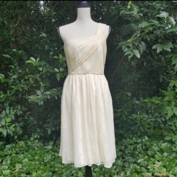 NWT J. Crew Lucienne Chiffon Shoulder Strap Dress 10 - Picture 1 of 8
